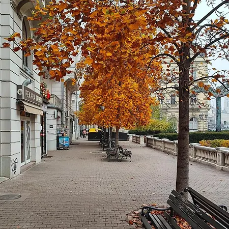 Filinhome Trg Mladenaca شقة نوفي ساد