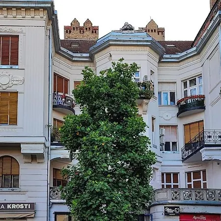 Filinhome Trg Mladenaca *